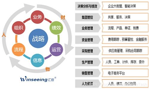 汇信外贸软件助力外贸综合型企业数字化转型的实践与思考